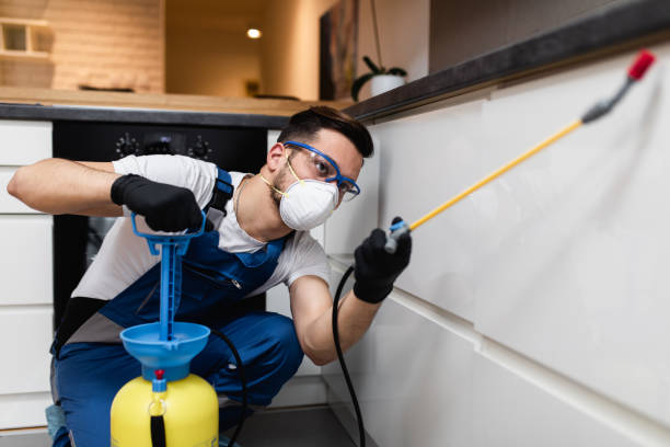 Best Pest Control Treatment  in Kiel, WI
