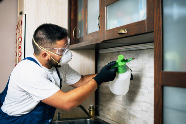 Best Wasp Removal Services  in Kiel, WI