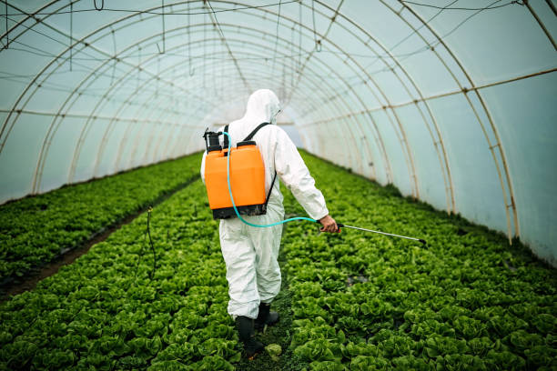Best Pest Inspection Near Me  in Kiel, WI