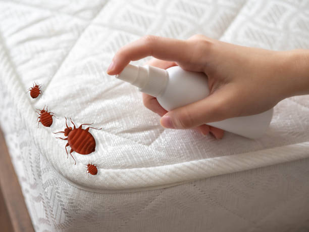 Best Pest Prevention Services  in Kiel, WI