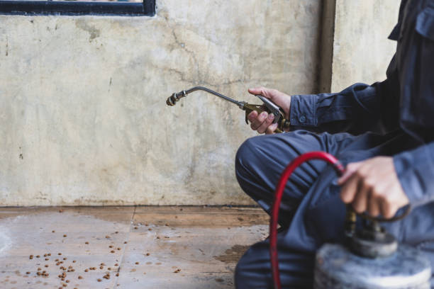 Best Affordable Pest Control Services  in Kiel, WI