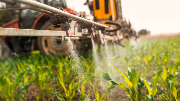 Best Pest Prevention Services  in Kiel, WI
